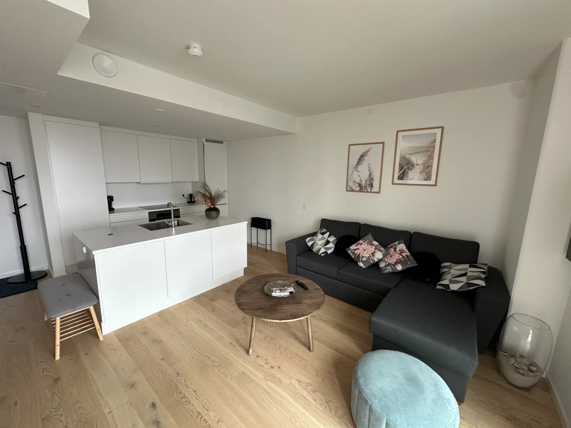 Pièce de vie claire avec cuisine ouverte du T2 Amandine rénové par Hagnéré à Belfort